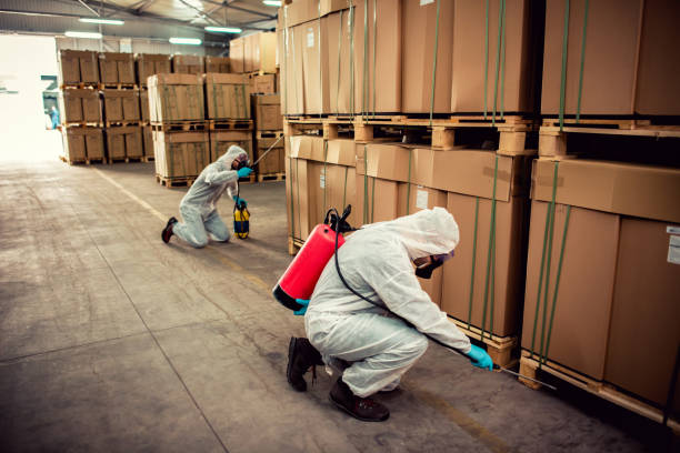 Best Mosquito Control Services  in Crow Agency, MT