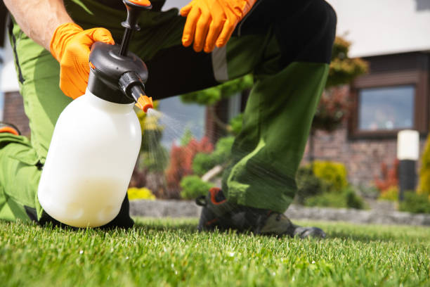 Best Pest Removal Services  in Crow Agency, MT
