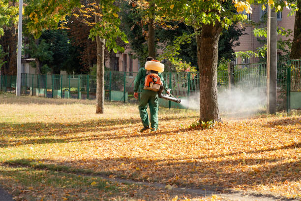 Reliable Crow Agency, MT Pest Control Solutions