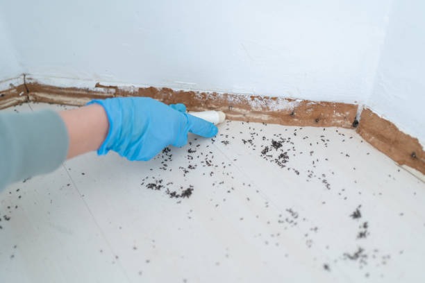 Best Pest Inspection Near Me  in Crow Agency, MT