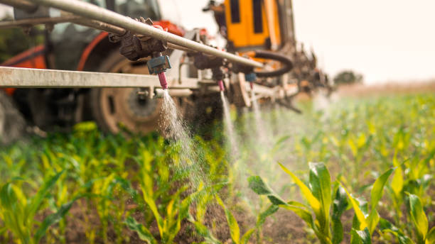 Best Pest Prevention Services  in Crow Agency, MT